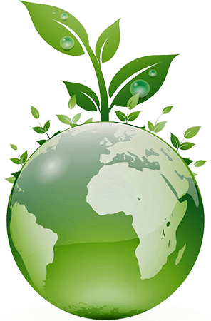 eco-services